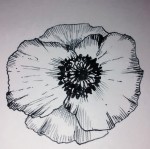 poppy remembrance clipart